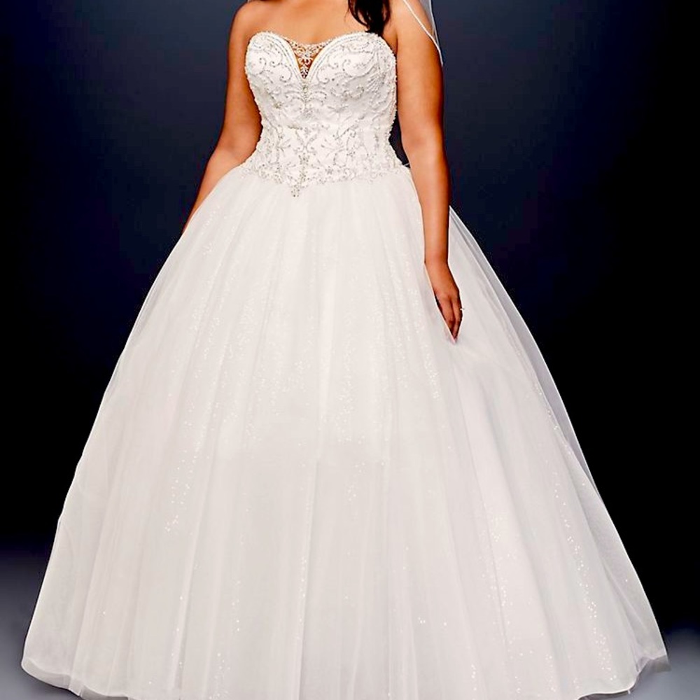 Beaded Illusion Plus Size Ball Gown Wedding Dress